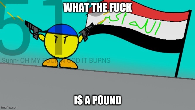 poorly drawn ripoff of mine | image tagged in wtf is a pound,cringe worthy,america,reading tags so fun fr | made w/ Imgflip meme maker