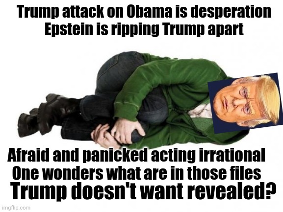 What's going on? Don? | Trump attack on Obama is desperation 
Epstein is ripping Trump apart; Afraid and panicked acting irrational 
One wonders what are in those files; Trump doesn't want revealed? | image tagged in trump,fear,epstein files,afraid,secrets,release the files | made w/ Imgflip meme maker