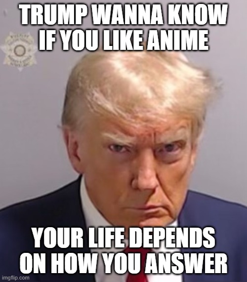 lol | TRUMP WANNA KNOW IF YOU LIKE ANIME; YOUR LIFE DEPENDS ON HOW YOU ANSWER | image tagged in donald trump mugshot | made w/ Imgflip meme maker