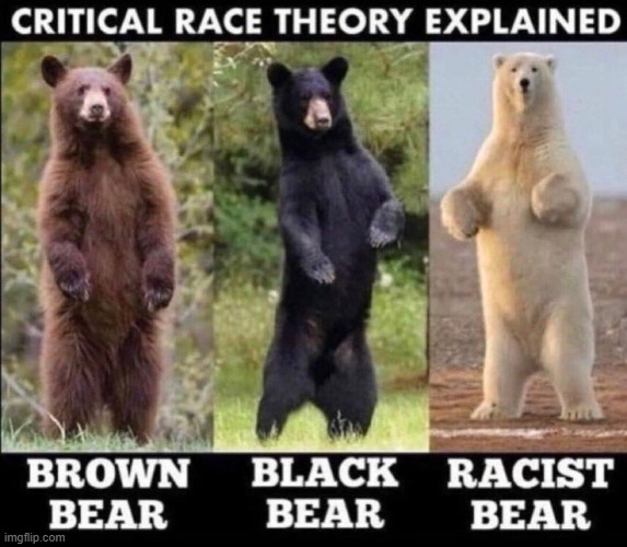 CRT in a nutshell | image tagged in nobody has control over the color of their skin,bears,black brown white,racism,tolerance,intolerance | made w/ Imgflip meme maker