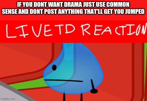 Bruh | IF YOU DONT WANT DRAMA JUST USE COMMON SENSE AND DONT POST ANYTHING THAT'LL GET YOU JUMPED | image tagged in live td reaction | made w/ Imgflip meme maker