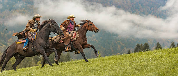 Cowboys Riding Horses Blank Meme Template