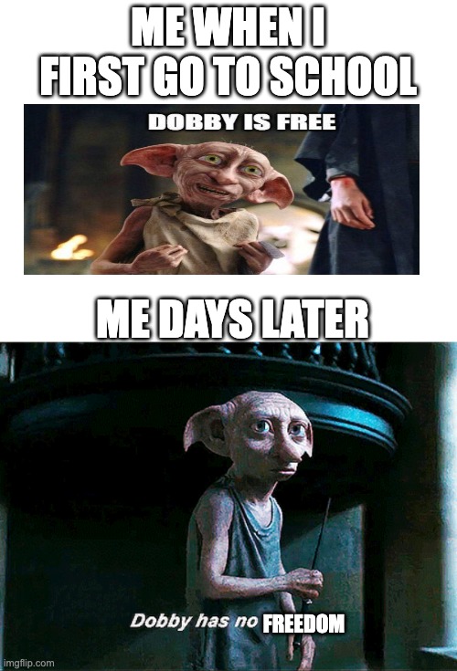 literly school | ME WHEN I FIRST GO TO SCHOOL; ME DAYS LATER; FREEDOM | image tagged in harry potter | made w/ Imgflip meme maker