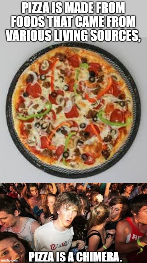 PIZZA IS MADE FROM FOODS THAT CAME FROM VARIOUS LIVING SOURCES, PIZZA IS A CHIMERA. | image tagged in memes,sudden clarity clarence | made w/ Imgflip meme maker