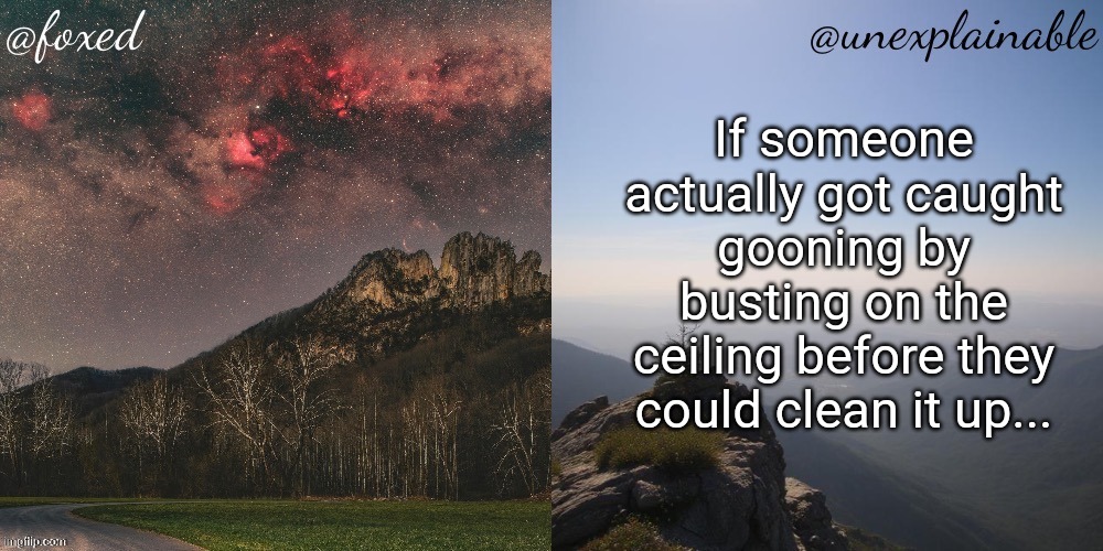 Shakespeare would cry to this tragedy. | If someone actually got caught gooning by busting on the ceiling before they could clean it up... | image tagged in the fox is unexplainable | made w/ Imgflip meme maker