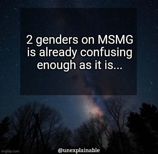 "He's male" "It's a she" "IM A MAN!" "Vih not dih" "Bro he's straight" "Guys I was jk about the male I'm a girl" | 2 genders on MSMG is already confusing enough as it is... | image tagged in it's simply unexplainable,or is it,i have no idea what i am doing | made w/ Imgflip meme maker
