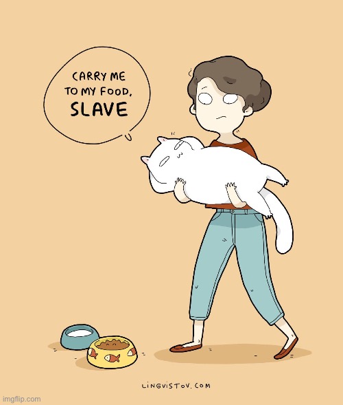 As you command… | image tagged in cats,carry me,my slave,food | made w/ Imgflip meme maker