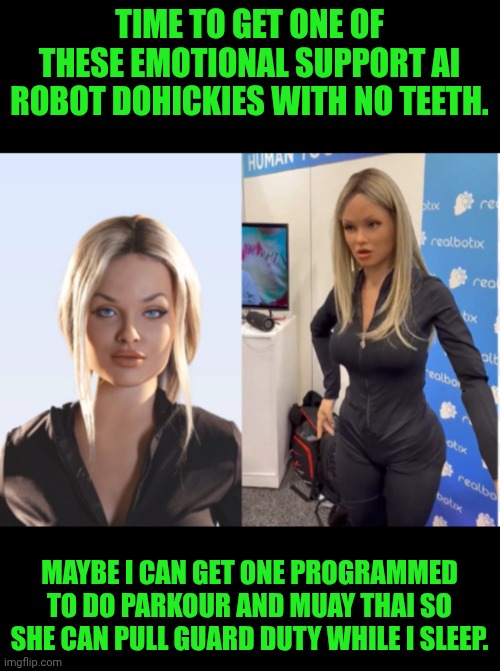 Funny | TIME TO GET ONE OF THESE EMOTIONAL SUPPORT AI ROBOT DOHICKIES WITH NO TEETH. MAYBE I CAN GET ONE PROGRAMMED TO DO PARKOUR AND MUAY THAI SO SHE CAN PULL GUARD DUTY WHILE I SLEEP. | image tagged in funny,ninja,artificial intelligence,robot,girlfriend,security | made w/ Imgflip meme maker
