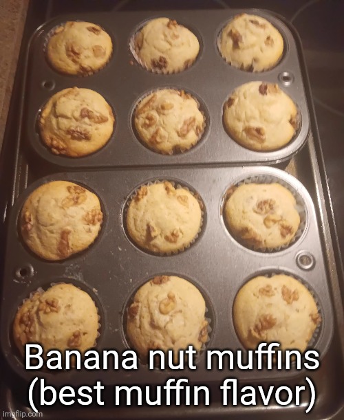 these go hard af | Banana nut muffins (best muffin flavor) | made w/ Imgflip meme maker