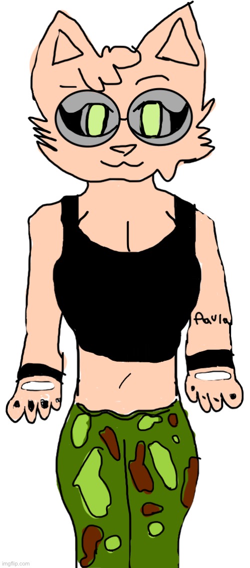 Palmo requested me to do a drawing of her as a cat furry so here it is ig. | made w/ Imgflip meme maker