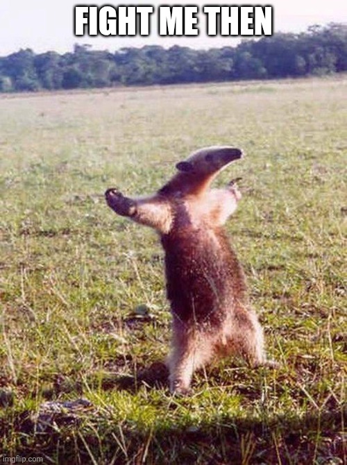 Fight me anteater | FIGHT ME THEN | image tagged in fight me anteater | made w/ Imgflip meme maker
