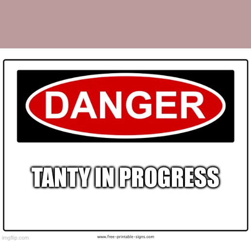 Danger | TANTY IN PROGRESS | image tagged in fun | made w/ Imgflip meme maker