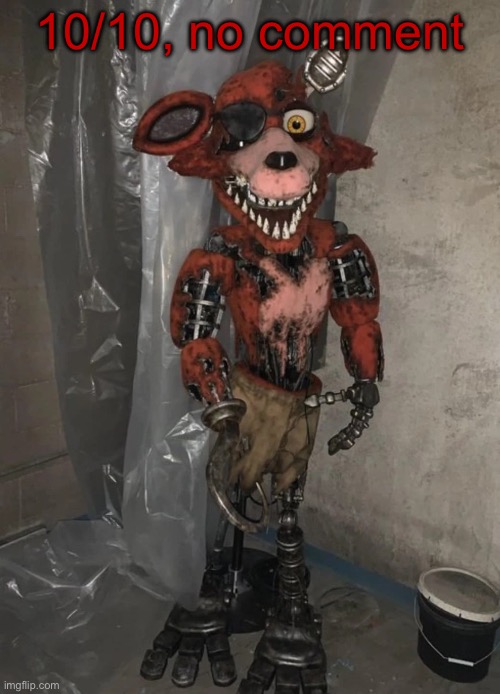 Toady’s Withered Foxy temp | 10/10, no comment | image tagged in toady s withered foxy temp | made w/ Imgflip meme maker