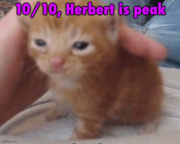 Herbert | 10/10, Herbert is peak | image tagged in herbert | made w/ Imgflip meme maker