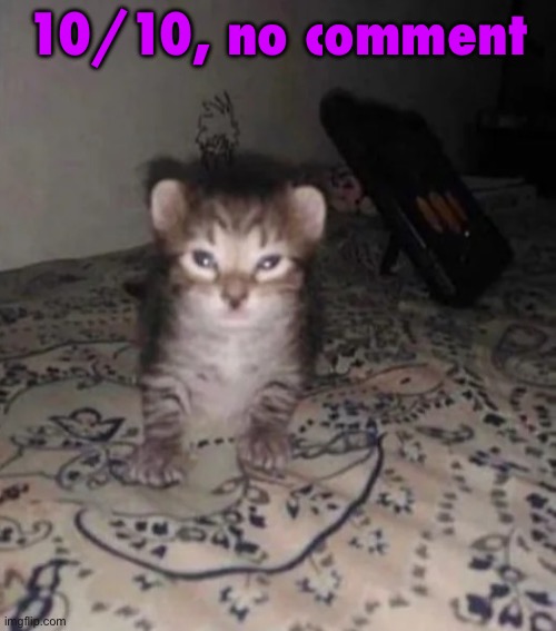 Herbert’s sister | 10/10, no comment | image tagged in herbert s sister | made w/ Imgflip meme maker