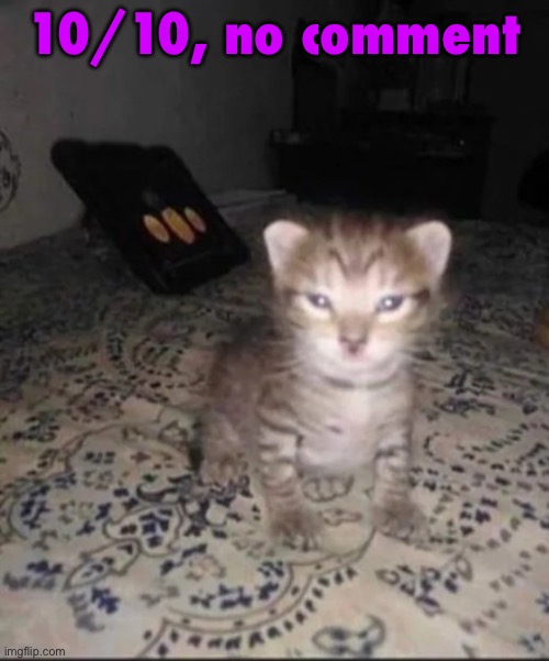 Herbert’s brother | 10/10, no comment | image tagged in herbert s brother | made w/ Imgflip meme maker