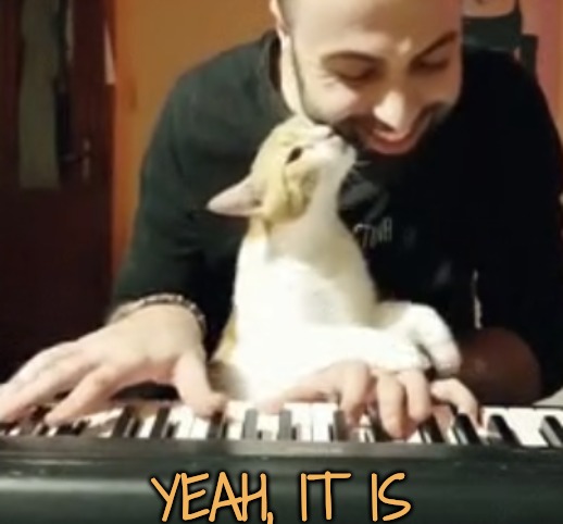 YEAH, IT IS | made w/ Imgflip meme maker