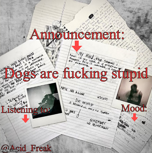 Acid_Freak Announcement | Dogs are fucking stupid | image tagged in acid_freak announcement | made w/ Imgflip meme maker