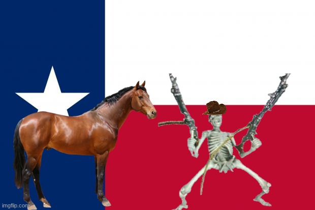 Because texas | image tagged in because texas | made w/ Imgflip meme maker