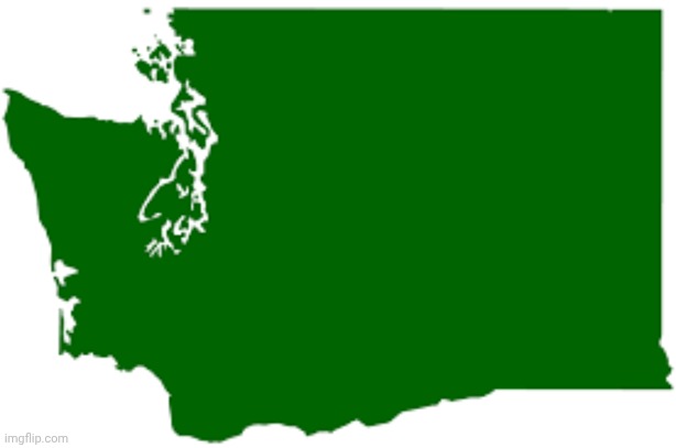 Washington State | image tagged in washington state | made w/ Imgflip meme maker