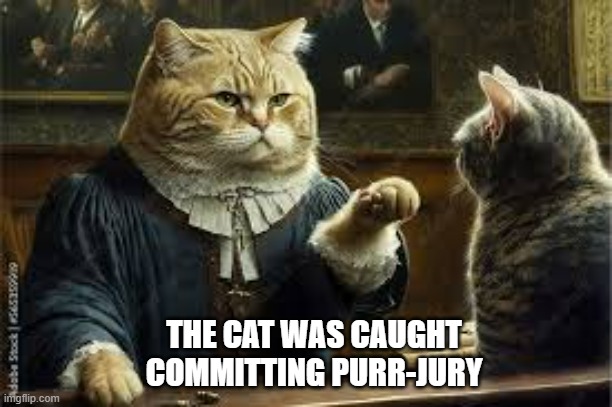 The cat was caught committing purr-jury.   - funny - | THE CAT WAS CAUGHT COMMITTING PURR-JURY | image tagged in cats,funny,kittens,humor,play on words | made w/ Imgflip meme maker