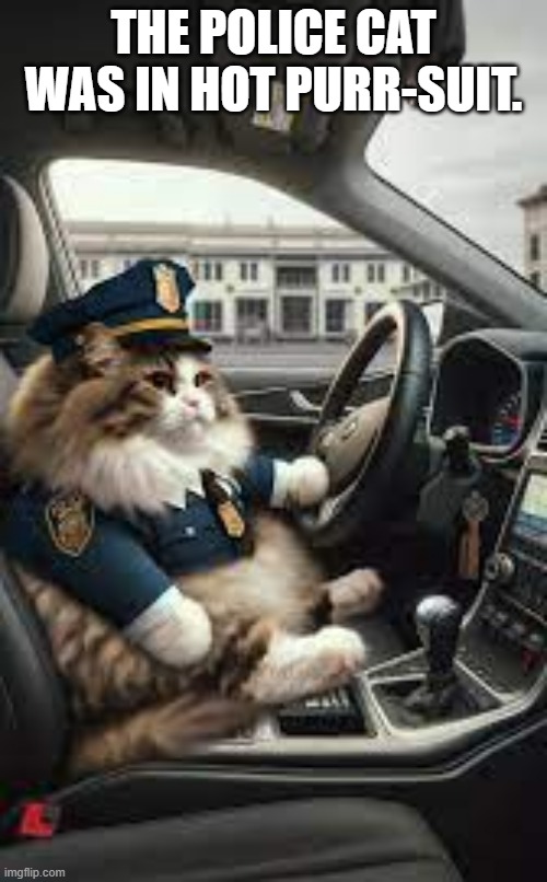 This police cat is in hot purr-suit of a criminal.  - funny - | THE POLICE CAT WAS IN HOT PURR-SUIT. | image tagged in cats,funny,kittens,humor,play on words,police | made w/ Imgflip meme maker