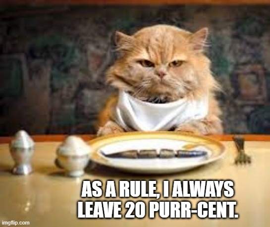 Cat says he always leaves a tip of 20 purr-cent.  - funny - | AS A RULE, I ALWAYS LEAVE 20 PURR-CENT. | image tagged in cats,funny,kittens,humor,play on words,tipping | made w/ Imgflip meme maker