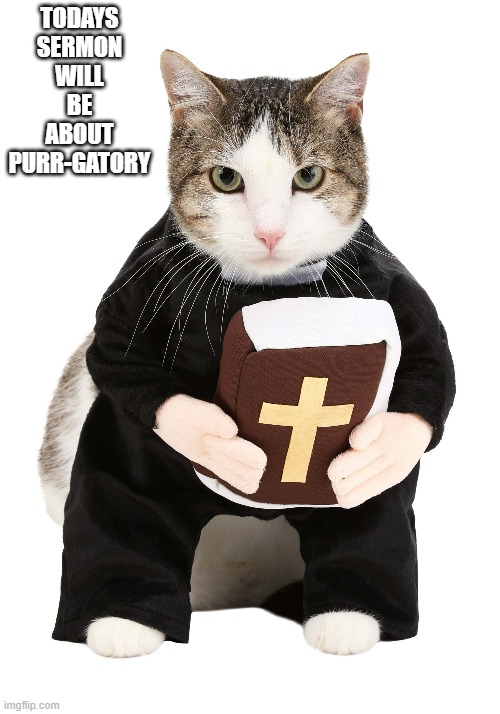 Cat preacher says that todays sermon will be about purr-gatory. | TODAYS SERMON WILL BE ABOUT PURR-GATORY | image tagged in cat,funny,kitten,humor,play on words,church | made w/ Imgflip meme maker