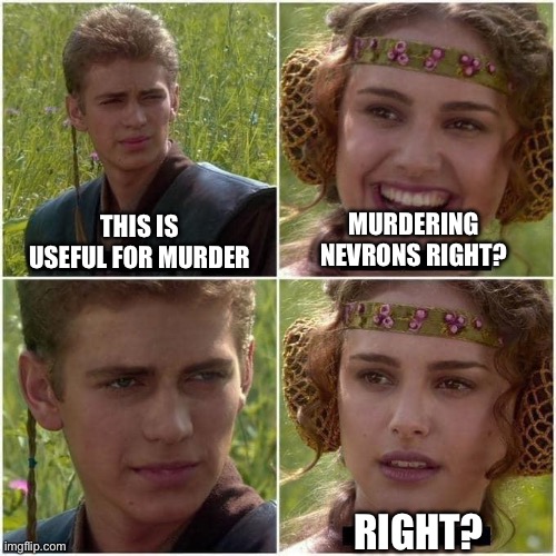 Anakin and Padme | THIS IS USEFUL FOR MURDER; MURDERING NEVRONS RIGHT? RIGHT? | image tagged in anakin and padme | made w/ Imgflip meme maker