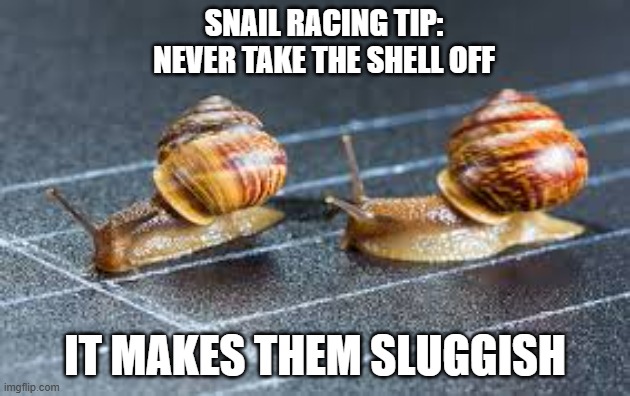 Snail racing tip: Never take away the snails shell. He'll become sluggish. | SNAIL RACING TIP: NEVER TAKE THE SHELL OFF; IT MAKES THEM SLUGGISH | image tagged in sports,funny,racing,humor,play on words | made w/ Imgflip meme maker