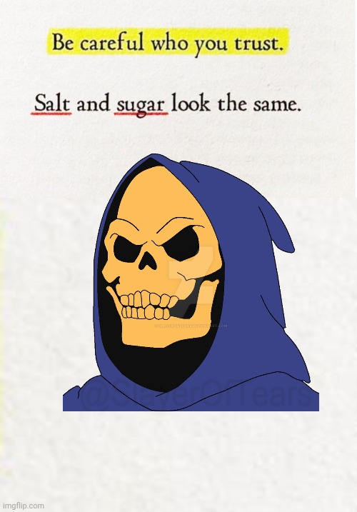 Skeletor be careful | image tagged in skeletor,trust | made w/ Imgflip meme maker
