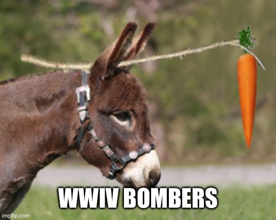 wwiv | WWIV BOMBERS | image tagged in carrot on a stick,historical picture,wwiv | made w/ Imgflip meme maker