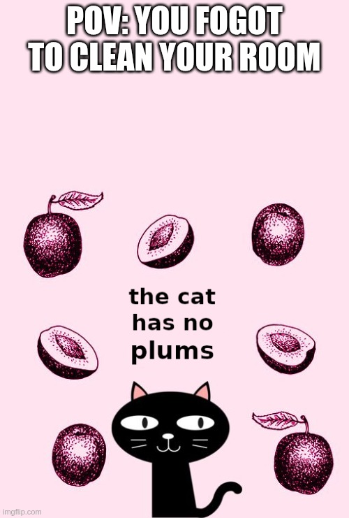 POV: You forgot to clean your room | POV: YOU FOGOT TO CLEAN YOUR ROOM | image tagged in the cat has no plums,cats | made w/ Imgflip meme maker