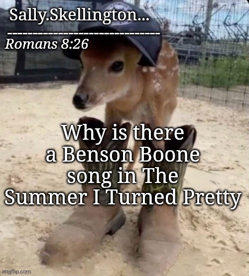 Sally's temp | Why is there a Benson Boone song in The Summer I Turned Pretty | image tagged in sally's temp | made w/ Imgflip meme maker