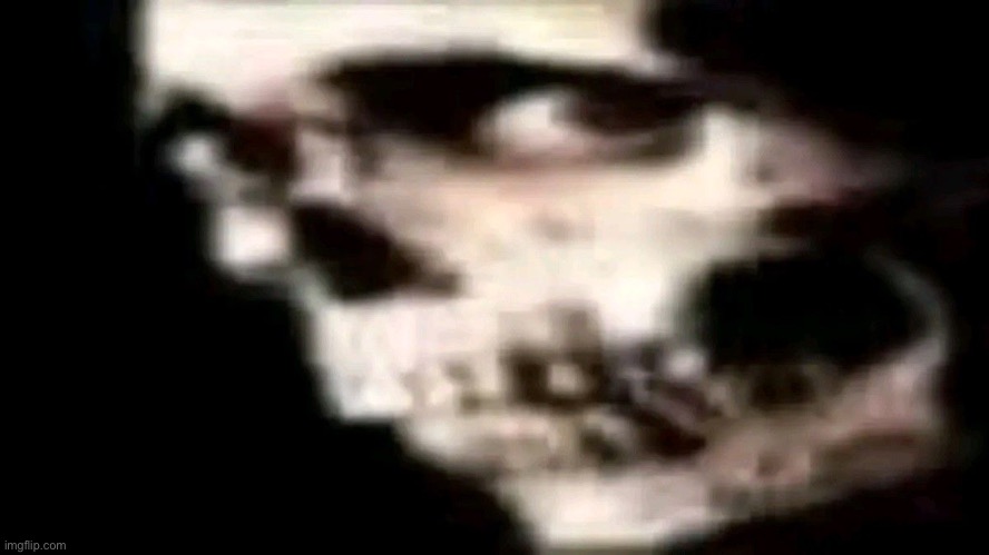 image tagged in evil dead 2 skeleton,evil dead 2,skeleton,wtf,have you ever play nikke with you life on the line | made w/ Imgflip meme maker