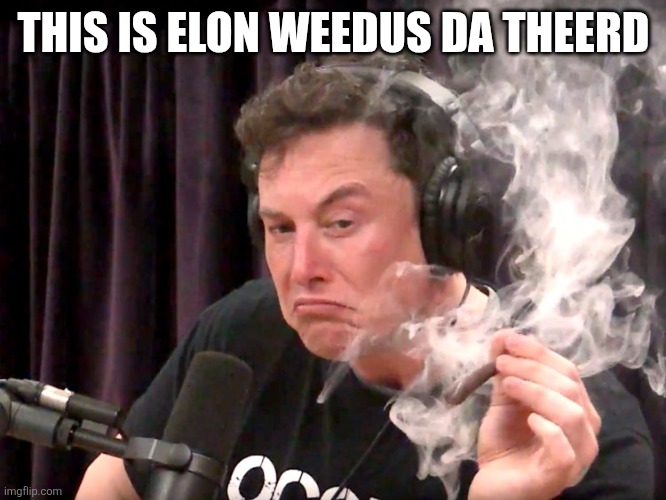 Elon Musk Weed | THIS IS ELON WEEDUS DA THEERD | image tagged in elon musk weed | made w/ Imgflip meme maker