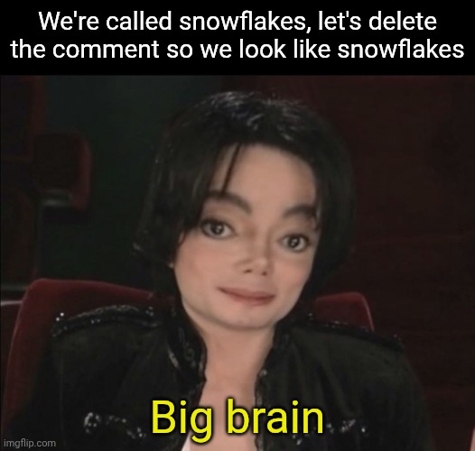 We're called snowflakes, let's delete the comment so we look like snowflakes Big brain | image tagged in michael jackson | made w/ Imgflip meme maker