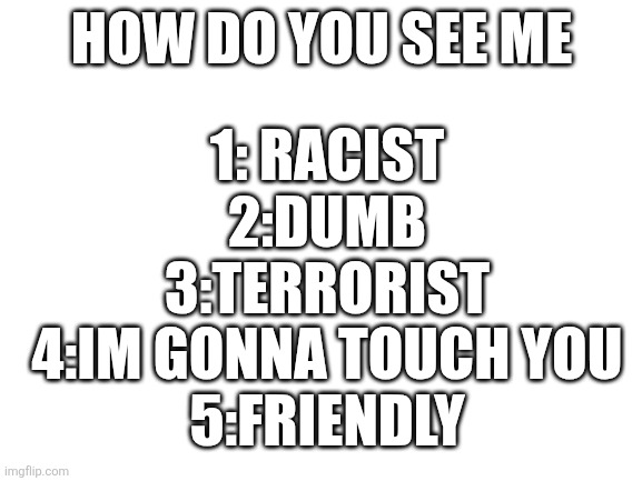 Blank White Template | HOW DO YOU SEE ME; 1: RACIST
2:DUMB
3:TERRORIST
4:IM GONNA TOUCH YOU
5:FRIENDLY | image tagged in blank white template | made w/ Imgflip meme maker