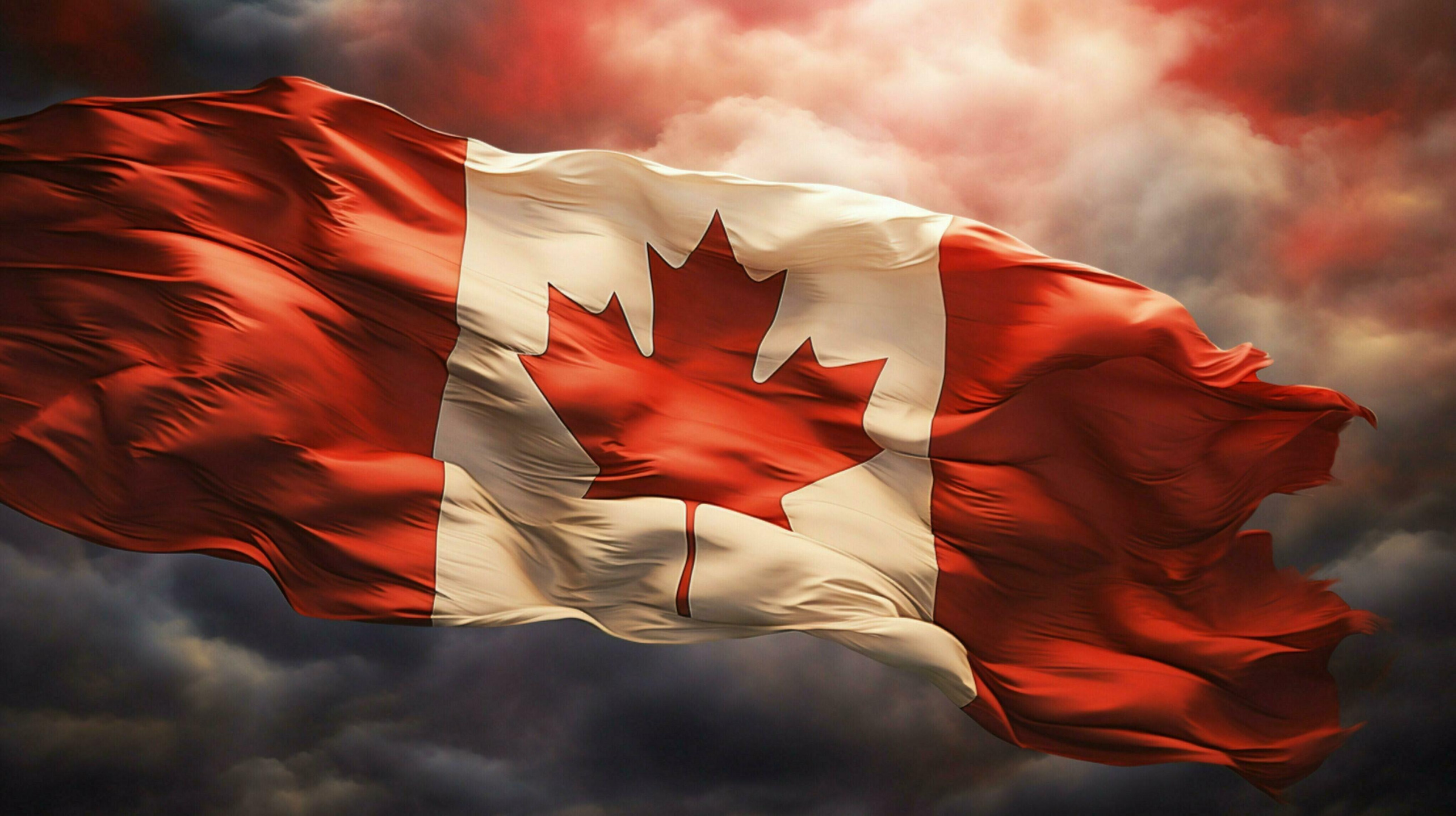 Nasty Canadian Blank Meme Template