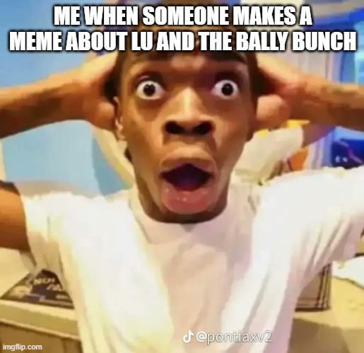 ME WHEN SOMEONE MAKES A MEME ABOUT LU AND THE BALLY BUNCH | image tagged in shocked black guy | made w/ Imgflip meme maker
