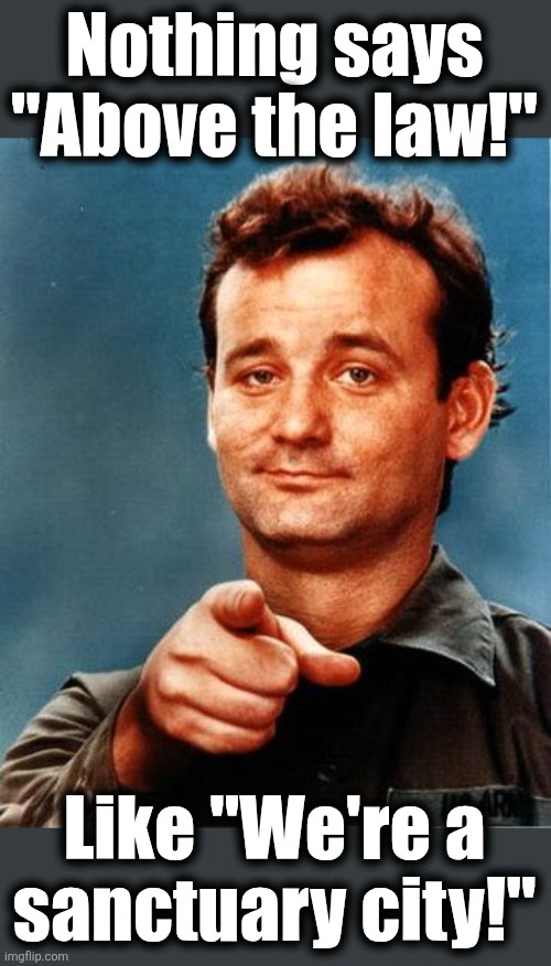 Above the law! | Nothing says
"Above the law!"; Like "We're a
sanctuary city!" | image tagged in bill murray,memes,sanctuary cities,democrats,above the law,trump derangement syndrome | made w/ Imgflip meme maker