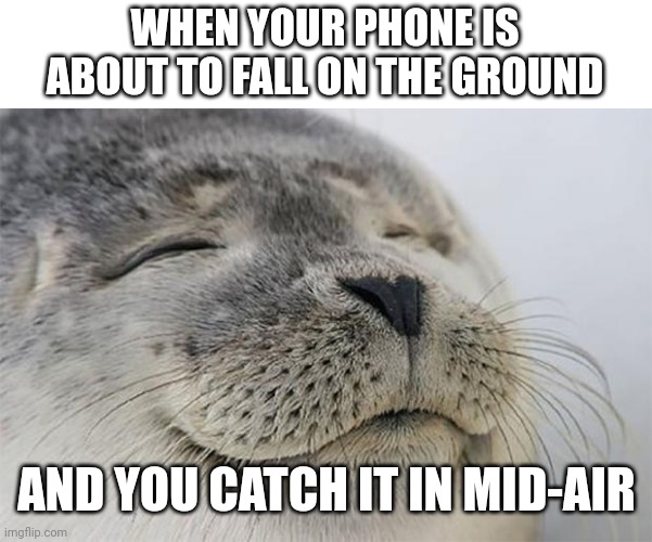 Great reflexes | WHEN YOUR PHONE IS ABOUT TO FALL ON THE GROUND; AND YOU CATCH IT IN MID-AIR | image tagged in memes,satisfied seal | made w/ Imgflip meme maker