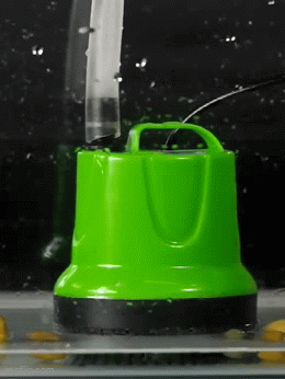 Animated GIF - Imgflip