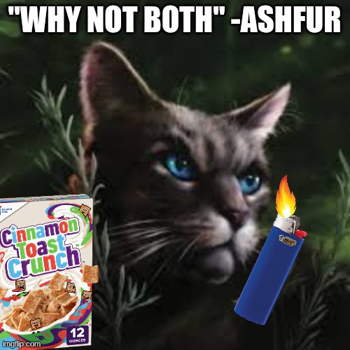 "WHY NOT BOTH" -ASHFUR | made w/ Imgflip meme maker