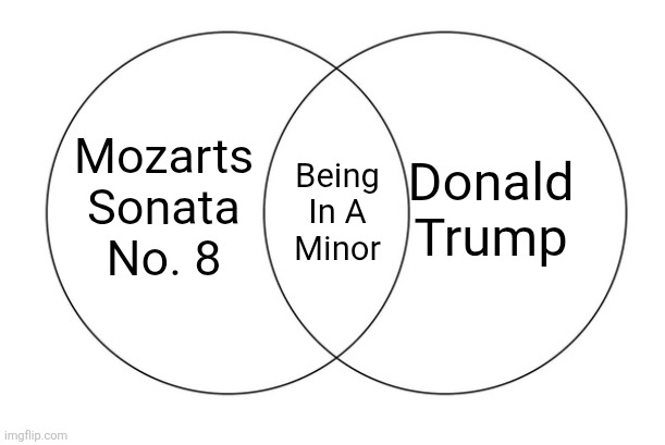 venn diagram | Donald Trump; Mozarts Sonata No. 8; Being In A Minor | image tagged in venn diagram,scumbag republicans,terrorists,trailer trash,conservative hypocrisy,pedophiles | made w/ Imgflip meme maker