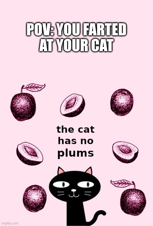 POV: You farted at your cat | POV: YOU FARTED
AT YOUR CAT | image tagged in the cat has no plums,cats,cat,farted,reactions,reaction | made w/ Imgflip meme maker
