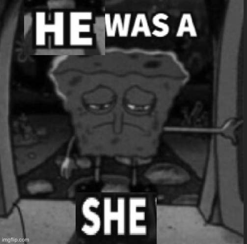 what I said to t.m opera O | image tagged in she was a he,he was a she | made w/ Imgflip meme maker