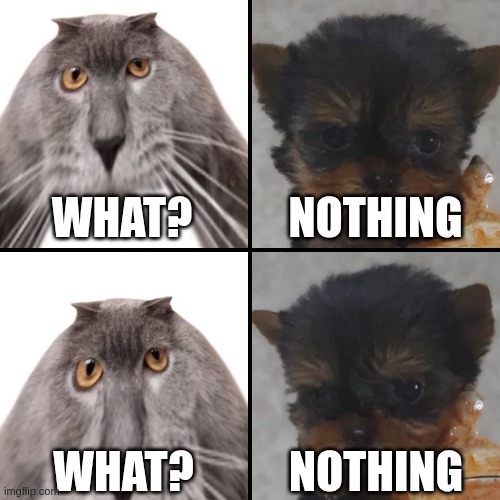 POV: Cat and dog talking | NOTHING; WHAT? WHAT? NOTHING | image tagged in oberezhnometanovets and krasyvko,doge,cat,dogs,cats | made w/ Imgflip meme maker