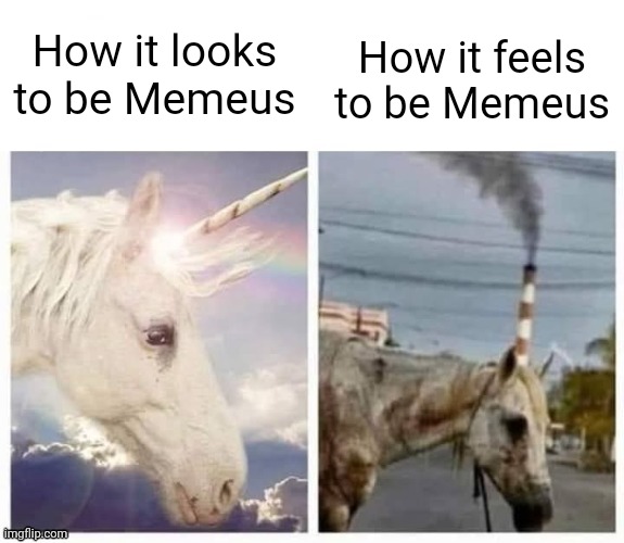 It's hard being me. Being the most epik person ever has its downsides. | How it feels to be Memeus; How it looks to be Memeus | image tagged in happy sad horse meme | made w/ Imgflip meme maker