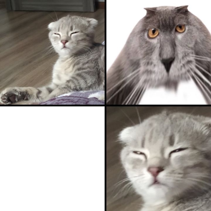 Sesysirerere and Oberezhnometanovets Blank Meme Template